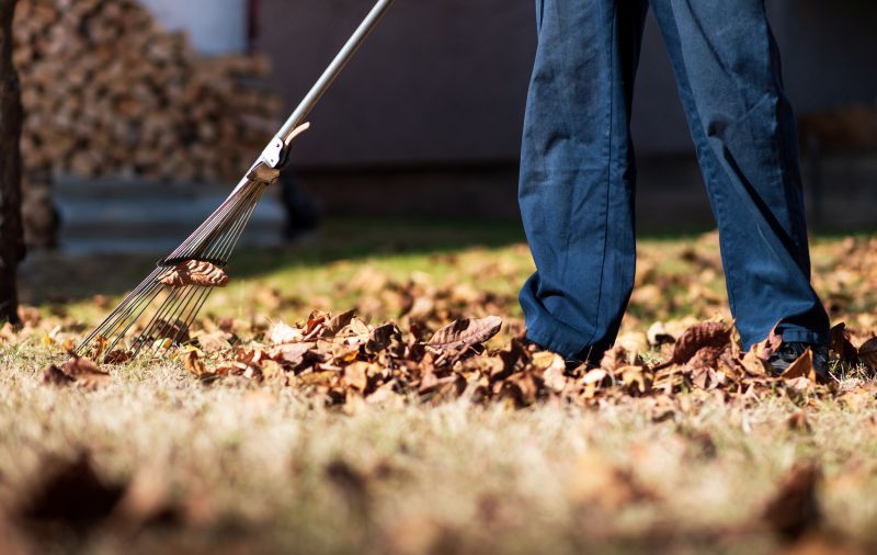 Leaf Raking