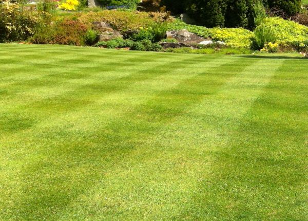 Commercial Grass Cutting in Fort Walton Beach