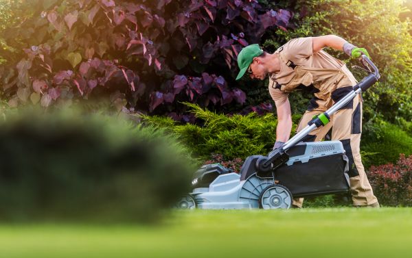 Lawn Care And Maintenance in Fort Walton Beach
