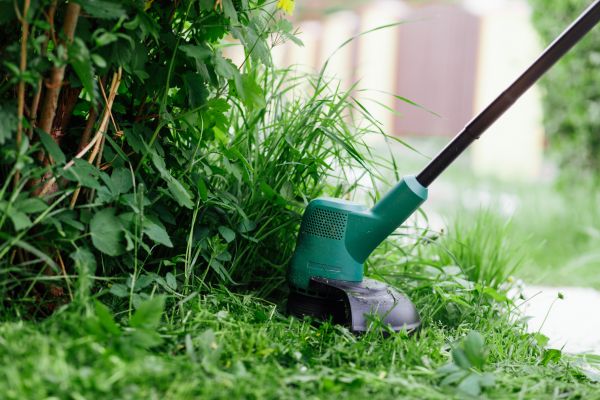 Weed Whacking Service