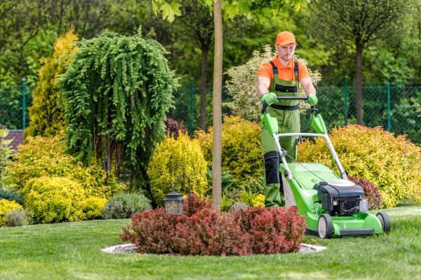 Weekly Lawn Maintenance Service