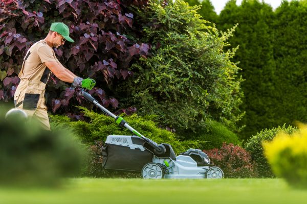 Lawn Management in Fort Walton Beach