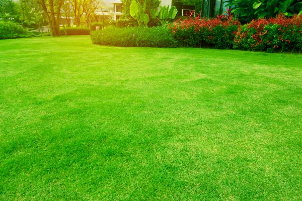 Scheduled Lawn Maintenance
