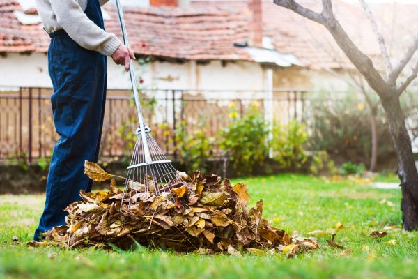 Yard Tidying