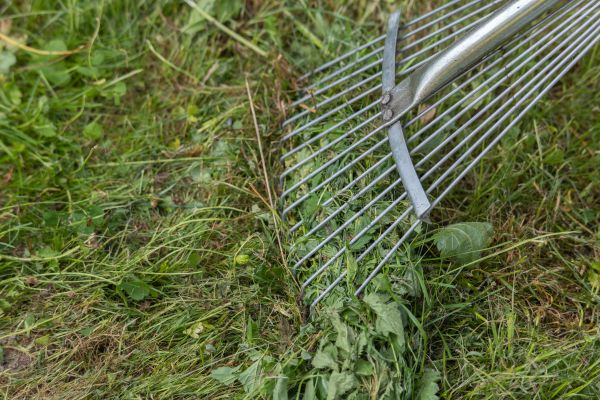 Thatch Raking in Fort Walton Beach
