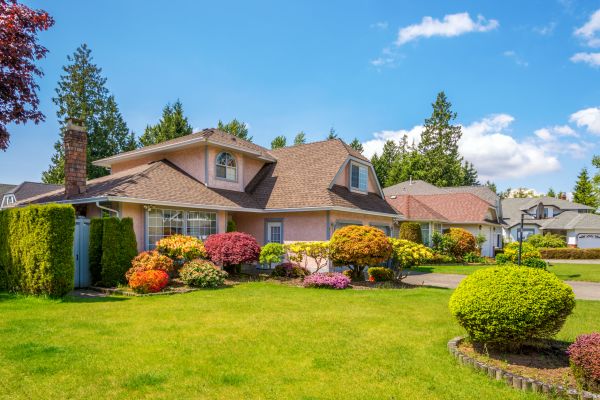 Residential Yard Management