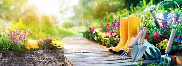 Home Gardening