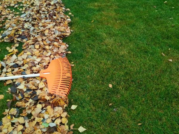 Fall Lawn Care in Fort Walton Beach