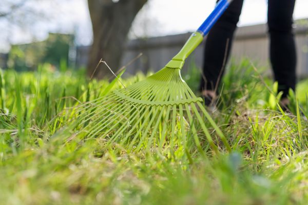 Outdoor Spring Cleaning