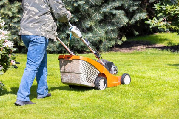 Springtime Lawn Care Service
