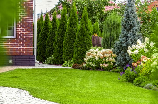 Spring Landscaping