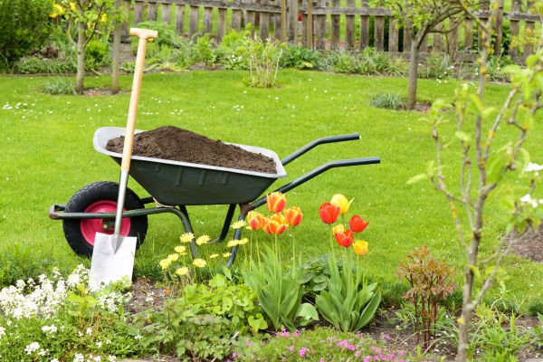 Spring Yard Renovation