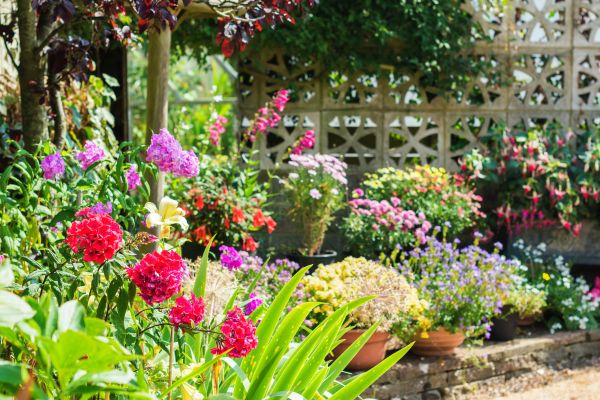 Spring Yard Care